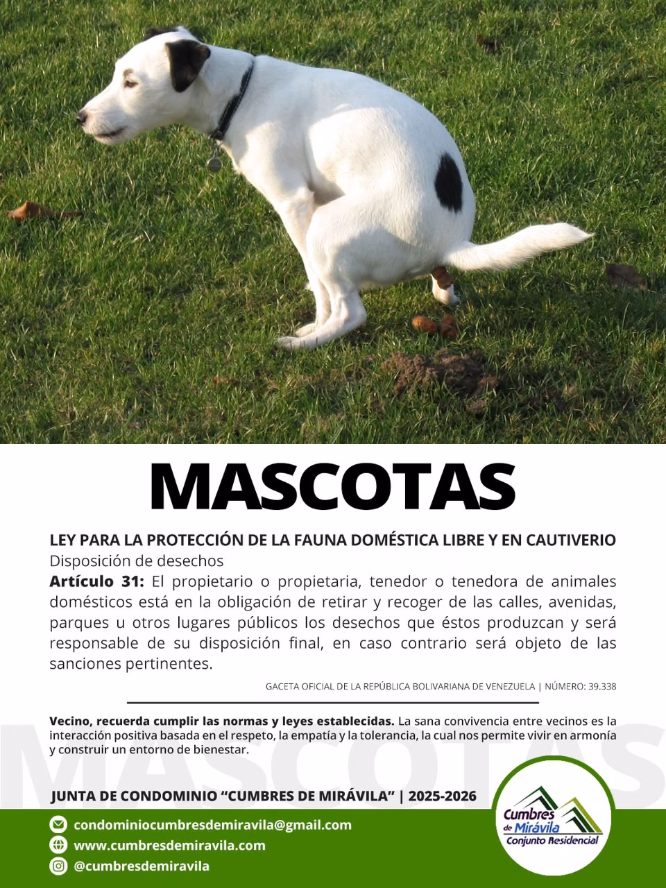 mascotas cumbres de miravila